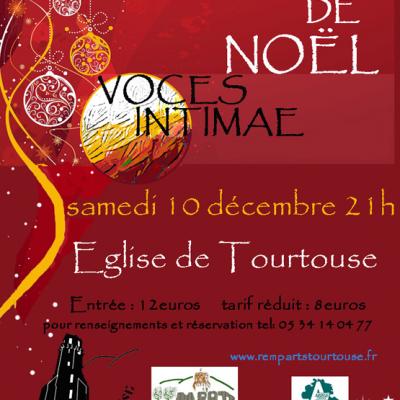 Afiiche2tourtouse flyer